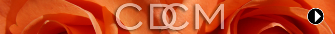 Corporate Design meets Change Management